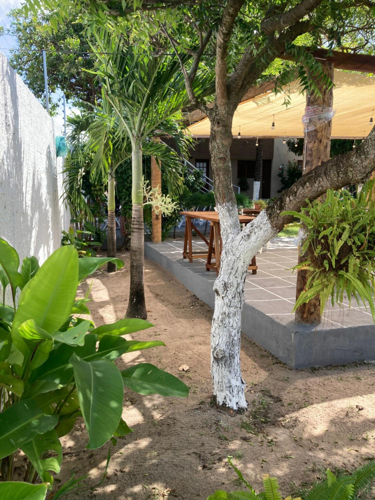 Pousada Vitoria Hotel Pitimbu  Exterior photo